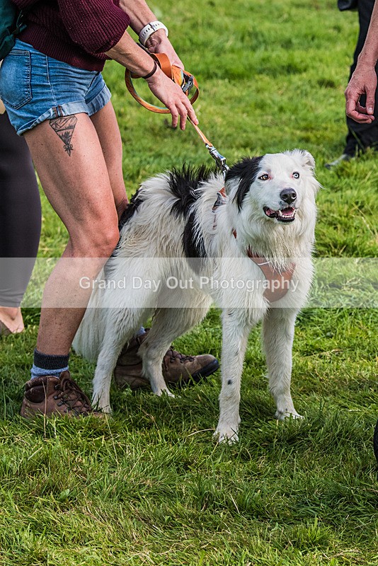 Loweswater Show-38 - Loweswater Show Junior & Senior Fell Races Sunday 3rd September 2023