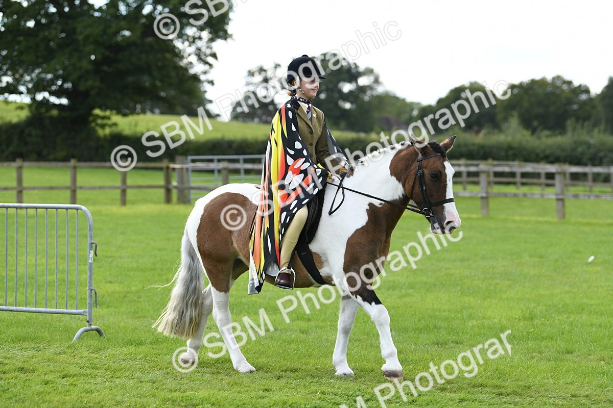 SBM_46699 - S12 - Family Horse & Pony