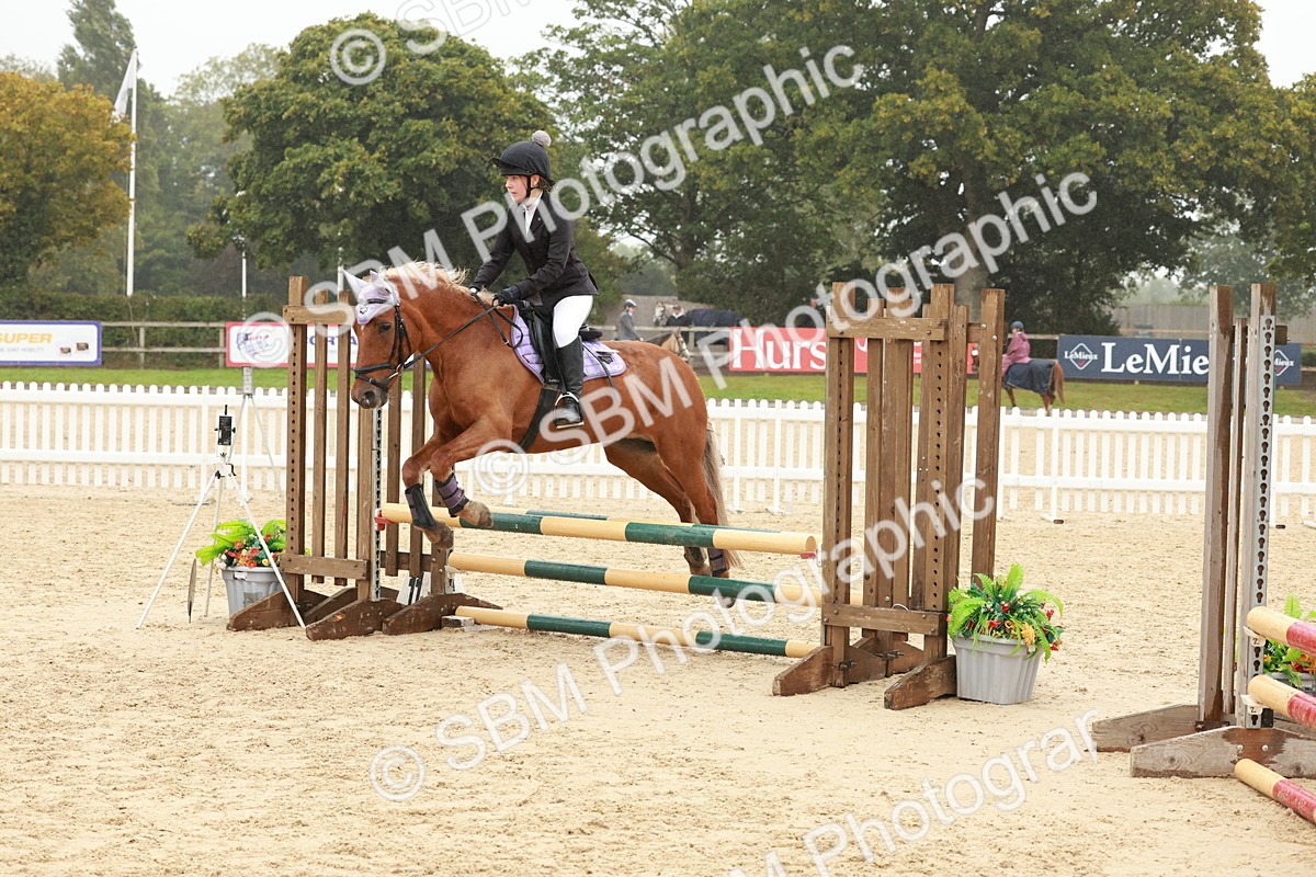 SBM_71336 - J14 - Junior Pony 65cm Championship