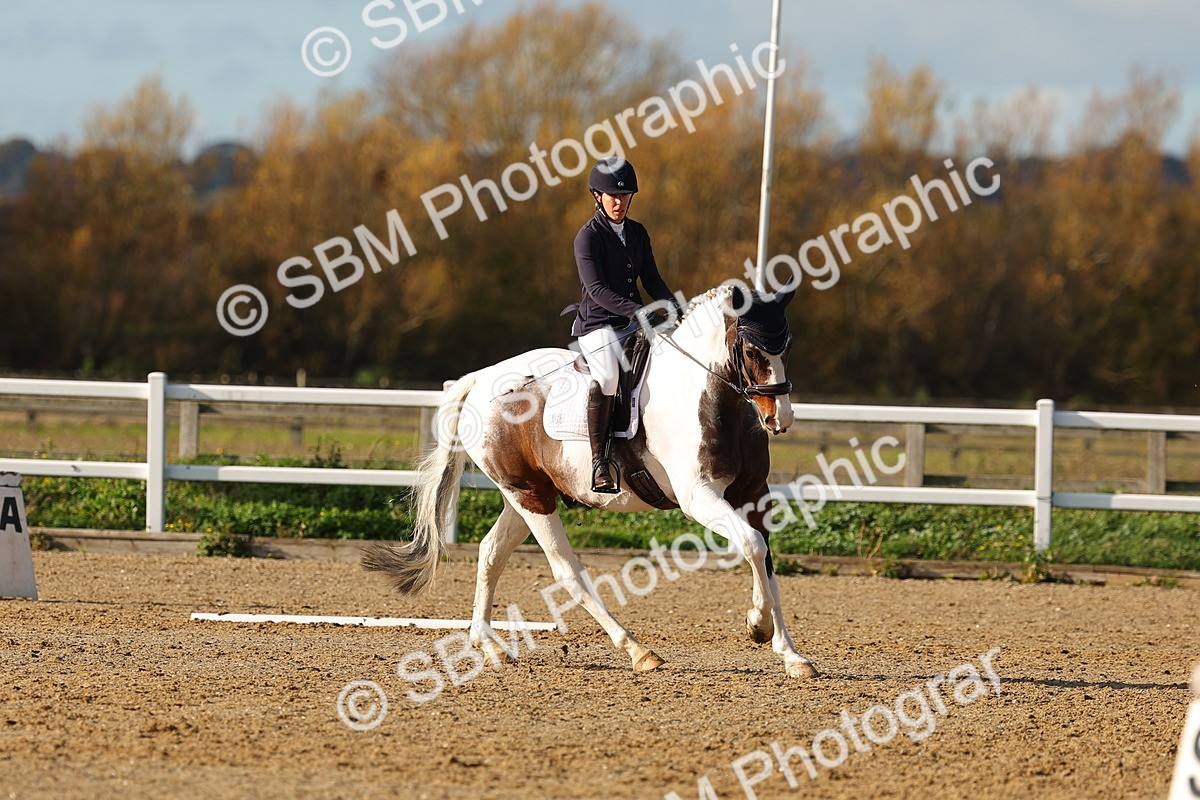 SBM_001144 - Novice 5