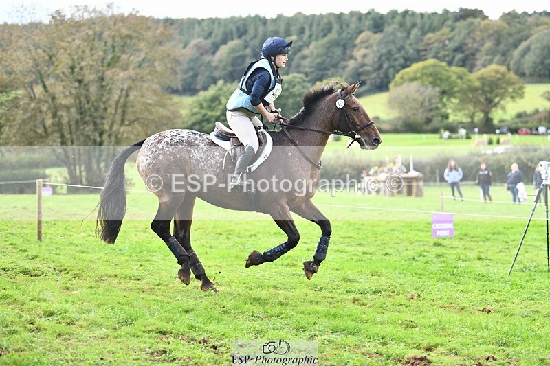 231021-150001-19836 - 482-ODDSPOT.VITAL.ELEMENT-Danielle.Davies-SC+XC