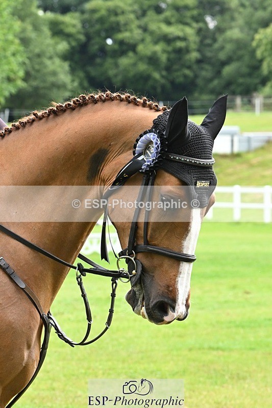 240713-103821-36884 - Cls 146 5 Yr Old Championships