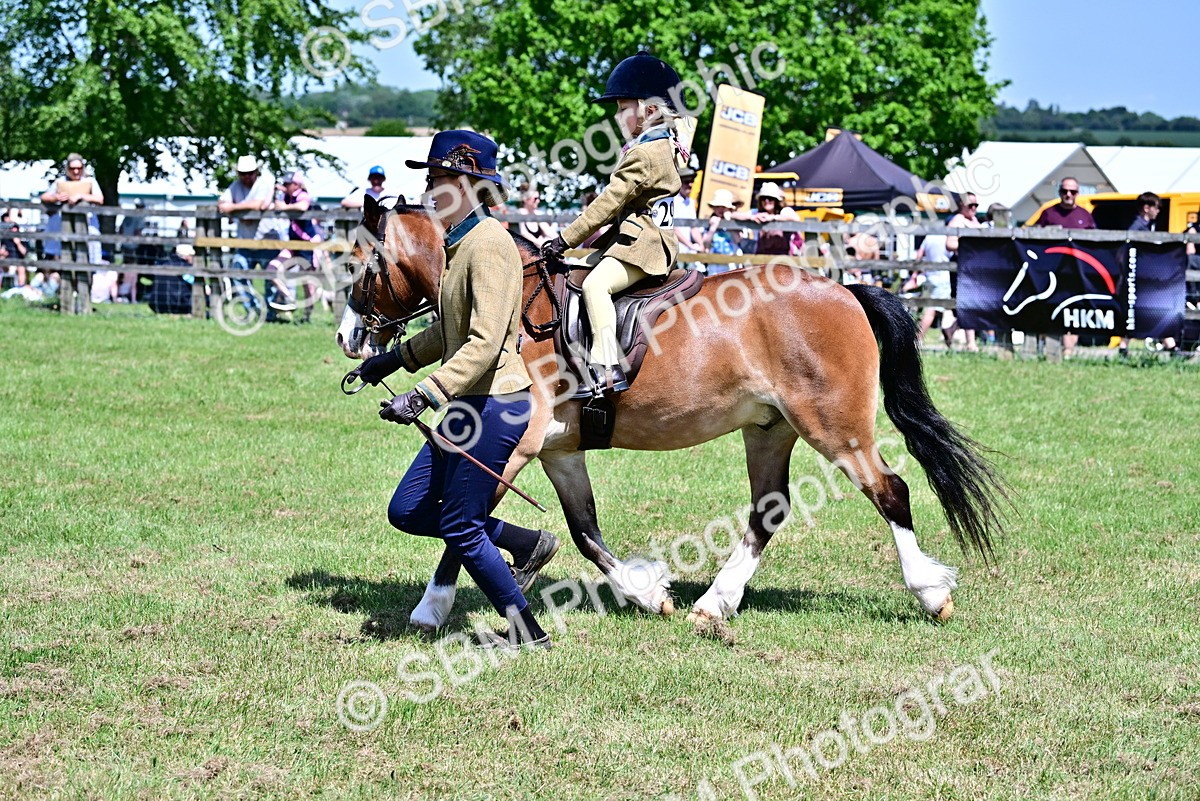 SBM_05830 - Class 59-60 - TSR M&M  Lear Rein and First Ridden Amateur of the year