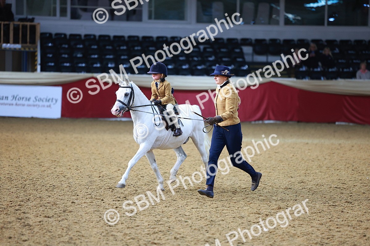 SBM_07707 - Class 101 - HOYS Veteran Qualifier - Ridden Diamond