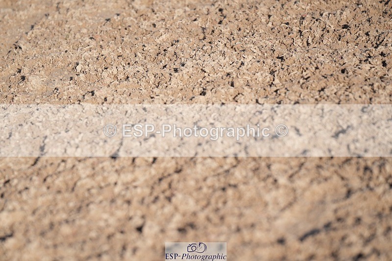 251130-132304-01237 - Cls 15 - 17 Children on Horses