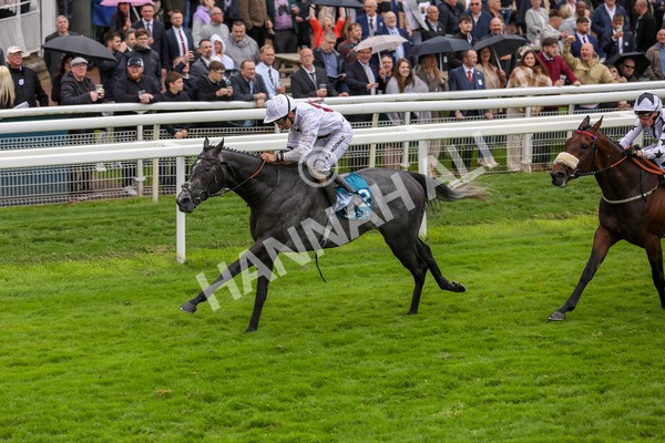 130724-Race 4-Alsakib-2078 - Race 4 3.45pm John Smith's Silver Cup Stakes