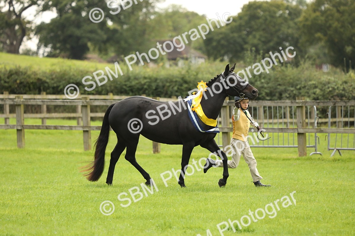 SBM_75425 - Equitation Supreme Championship