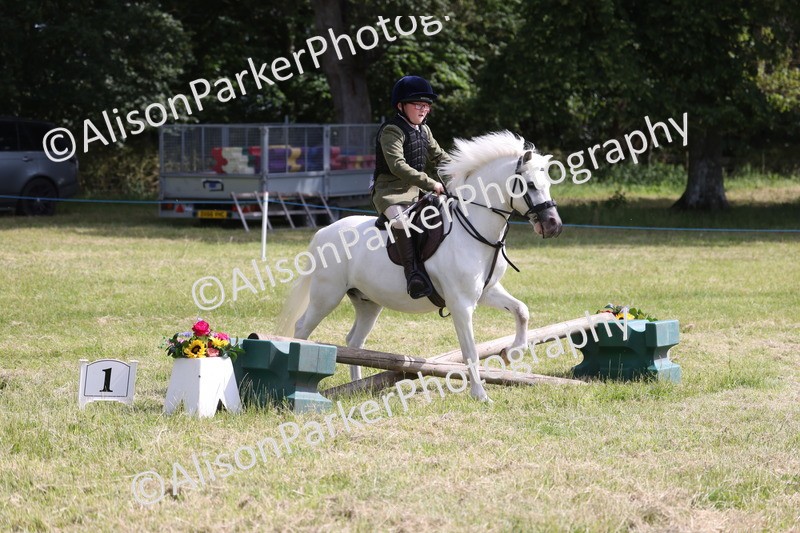 20260614-0713 - Class 20 - Beginners Working Hunter Pony
