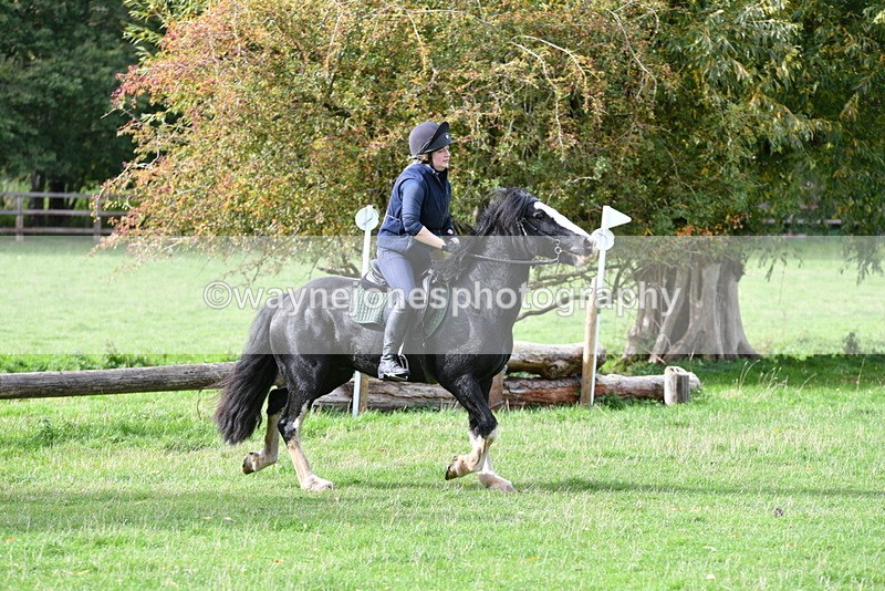 WJ5_0039 - Time 13:25 to 13:58