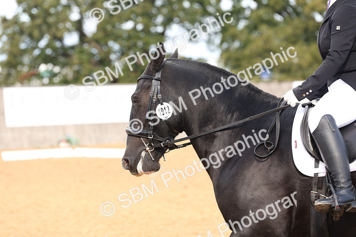 SBM_40566 - D6 - Small Tour Championship Intro 4