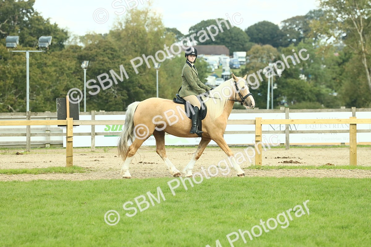 SBM_62638 - S63 - Other Coloured Horse Ridden