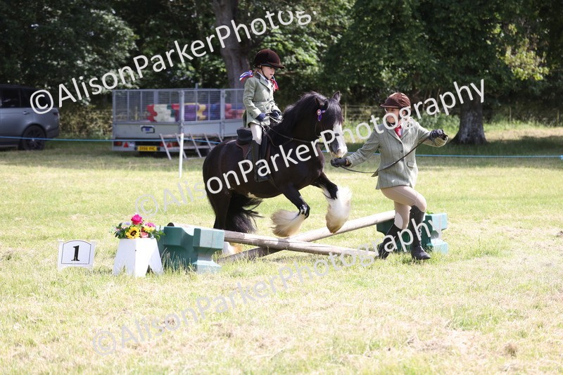 20260614-0611 - Class 20 - Beginners Working Hunter Pony