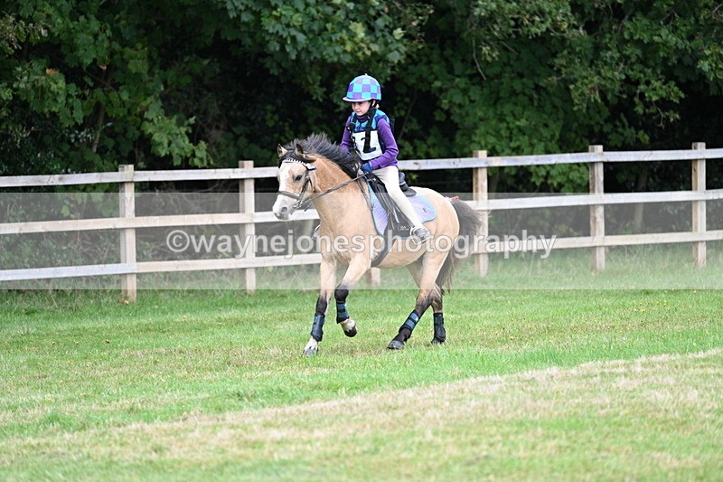 WJ7_7149 - 40cm Time 10:06 to 10:24