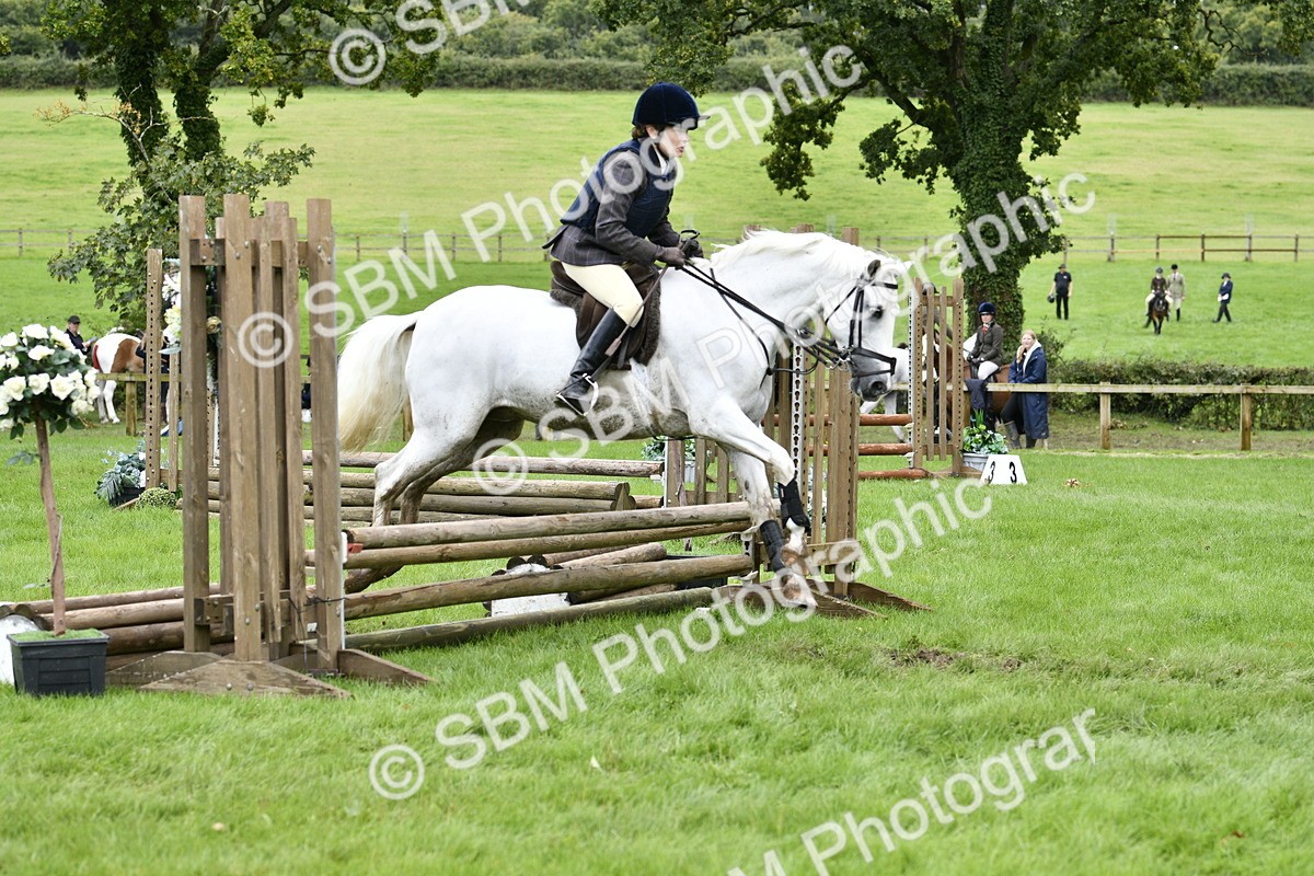 SBM_41305 - S32 - Mountain & Moorland Working Hunter Pony