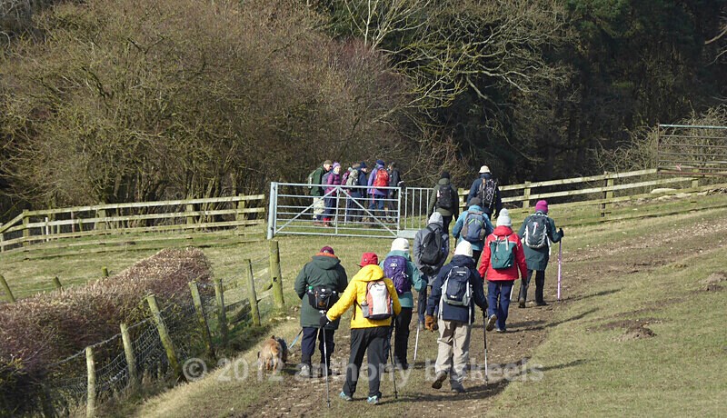 010  Passing Car House - York Minster Walkers Collection 2025