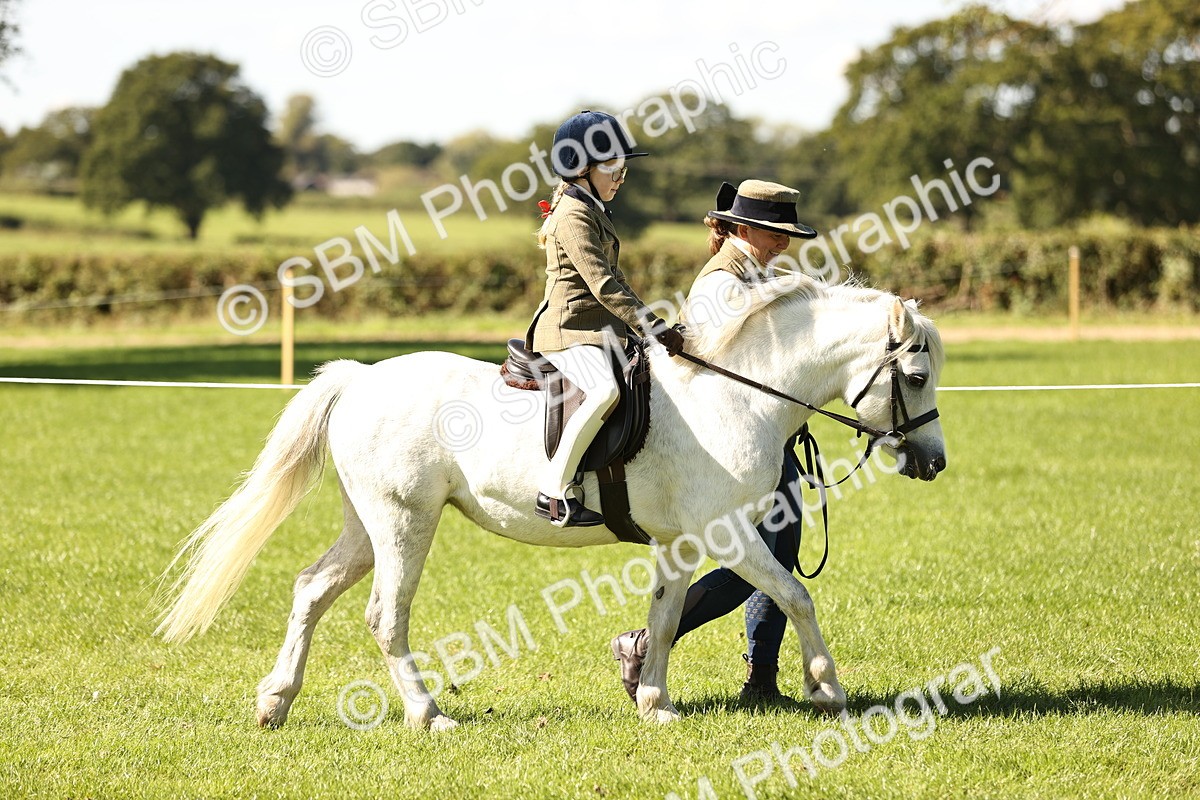 SBM_19204 - S3 - TSR Ridden Pony Showing
