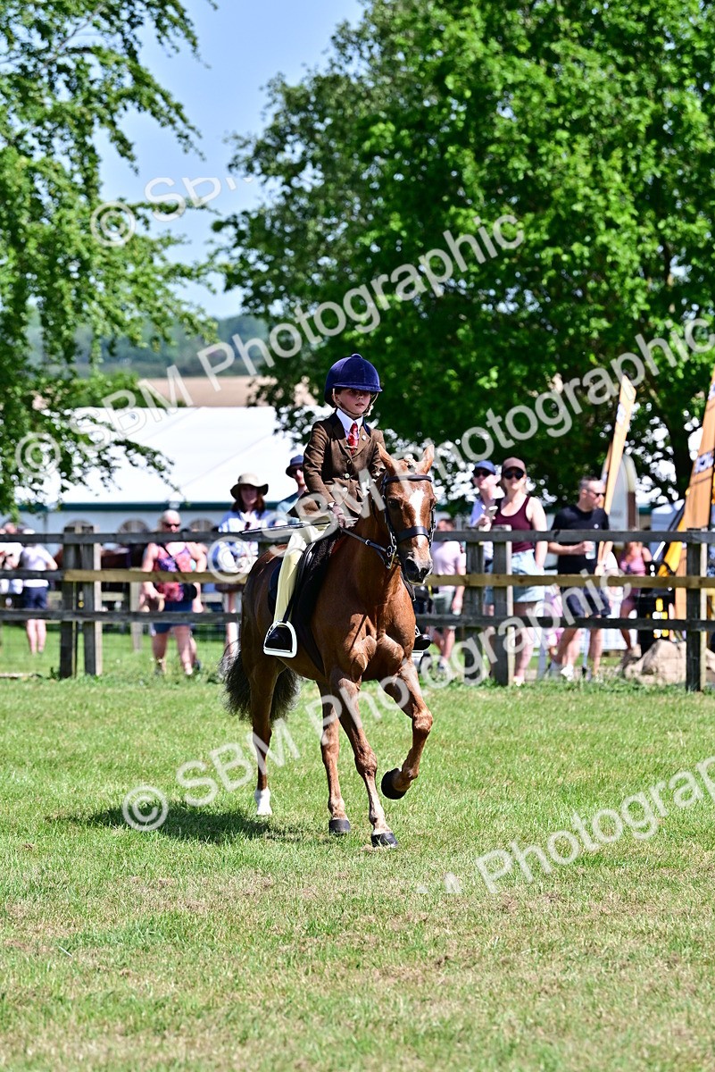 SBM_13942 - Class 95-97 - BSPS LHS Performance Ponies