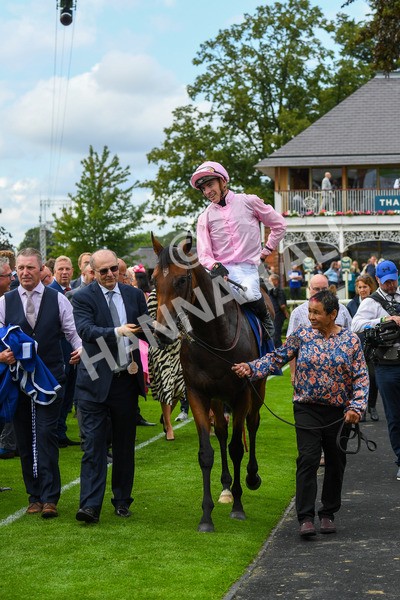 240823-Race 4-Warm Heart-0593 - Race 4 3.35pm Pertemps Network Yorkshire Oaks