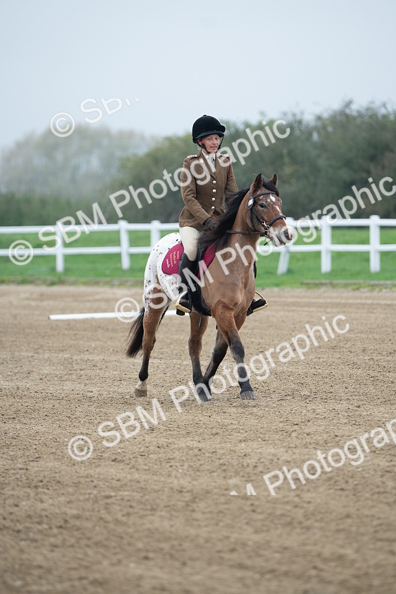 SBM_003389 - Introductory Test 3