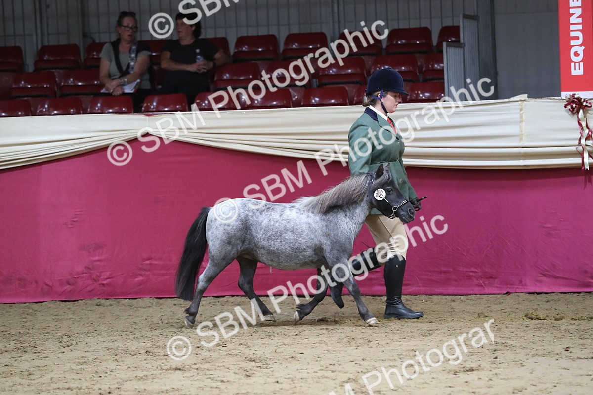 SBM_06293 - Class 9R Regional- IH Pre Vet