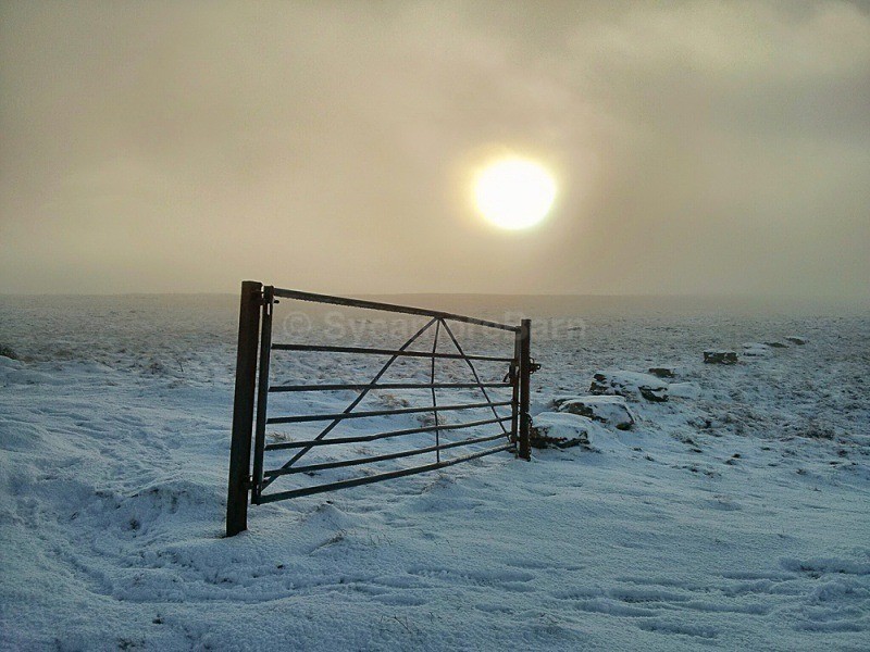 Freezing fog, Orton Scar - Moments of Light