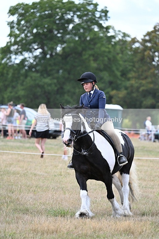 WJ7_5365 - Class 12 Ridden Cob
