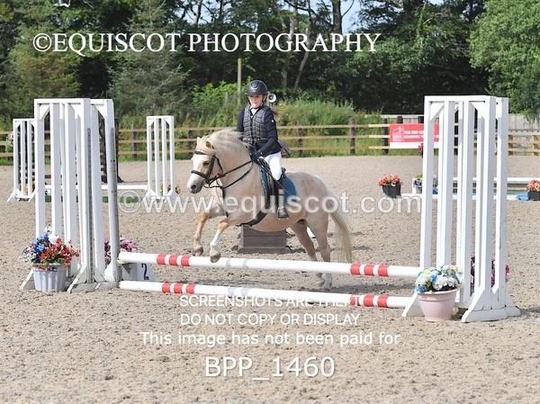 BPP_1460 - DERBY CLASS 3 - 40CM