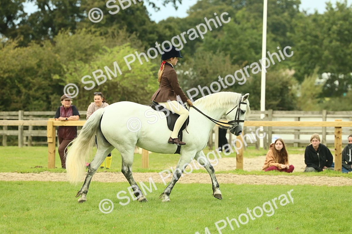SBM_72013 - S60 - Mountain & Moorland Ridden Large Breeds