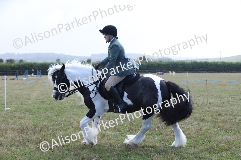 20250831-2441 - Class 16 - Family Pony