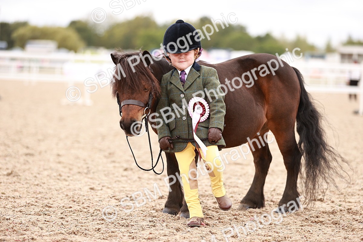 SBM_18617 - Class 421 - Childs Best Friend - Jnr