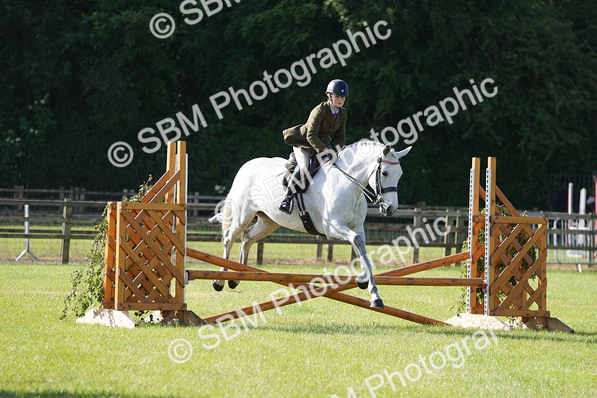 SBM_10549 - Class 97-98 - LIHS BSHA Rising Star Working Show Horse Hunter