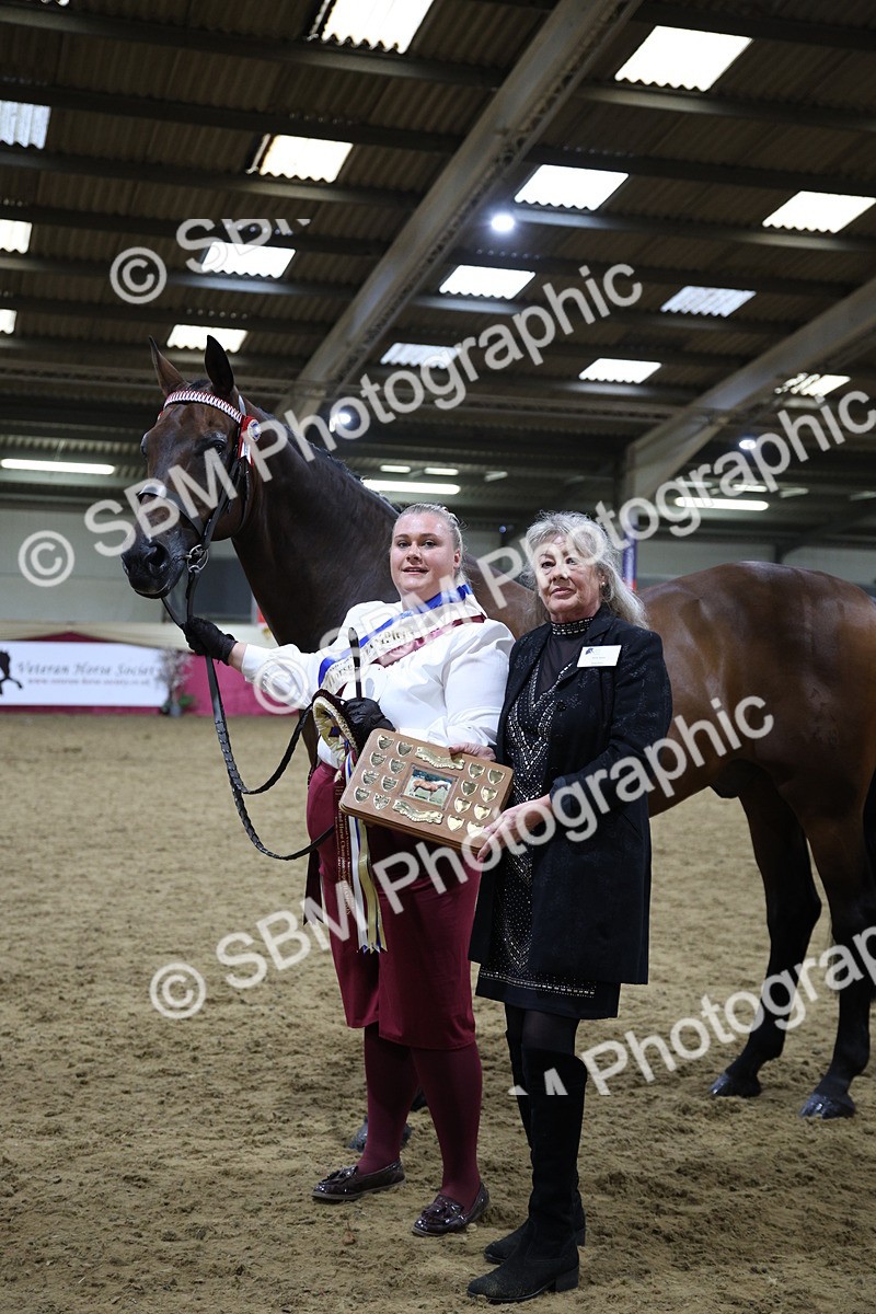 SBM_18844 - Class E IH Horse Champ