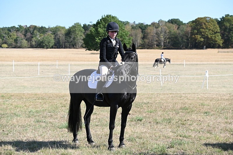 WJ6_7609 - Class 34 Judges Choice