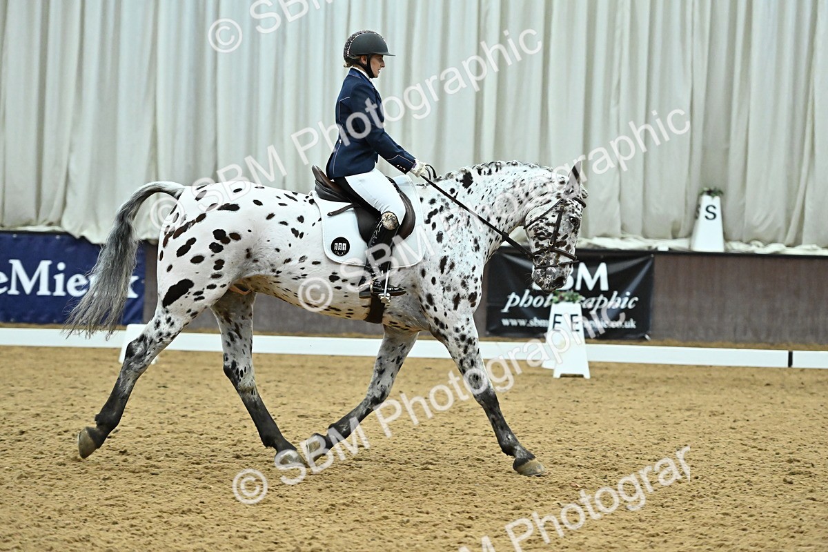 SBM_007518 - Class 81 - Novice 3