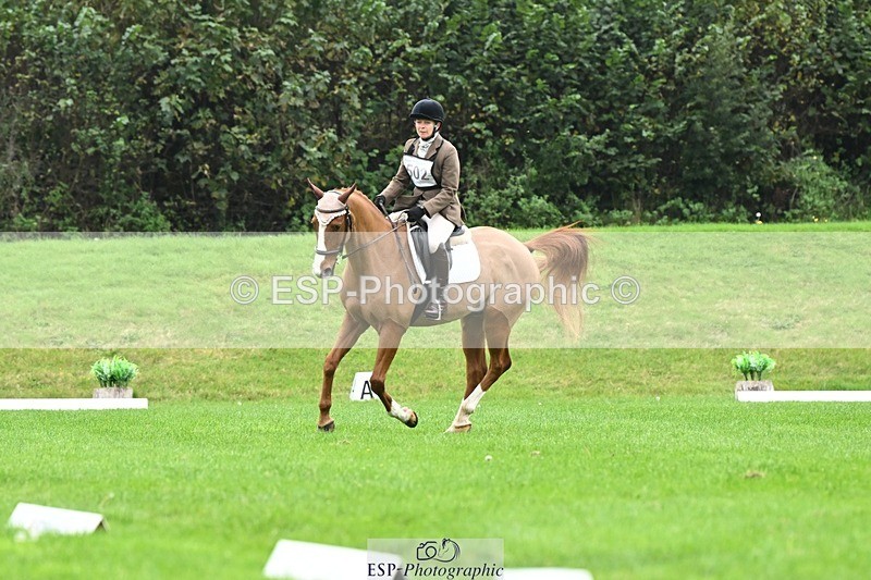 241024-105847-03105 - 502-Alison.Stewart-RICO.III