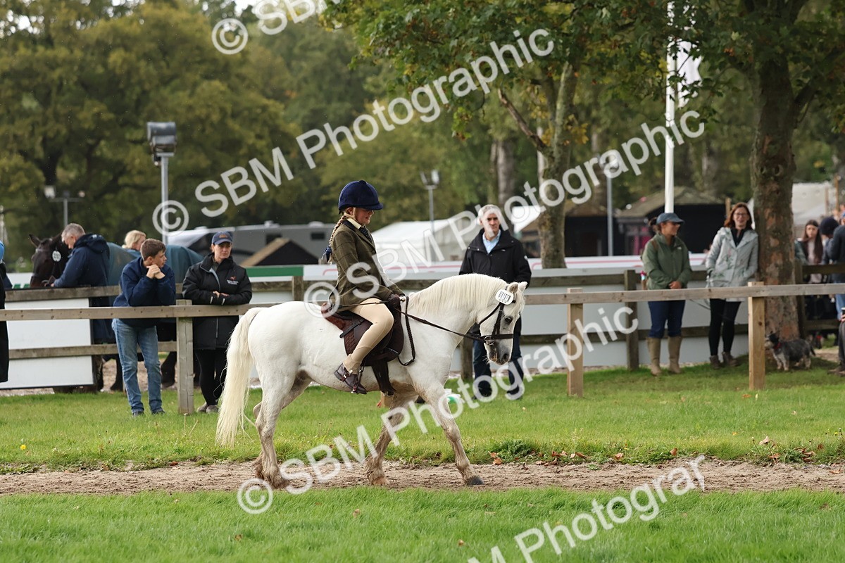SBM_44942 - S27 - Young Veteran Ridden