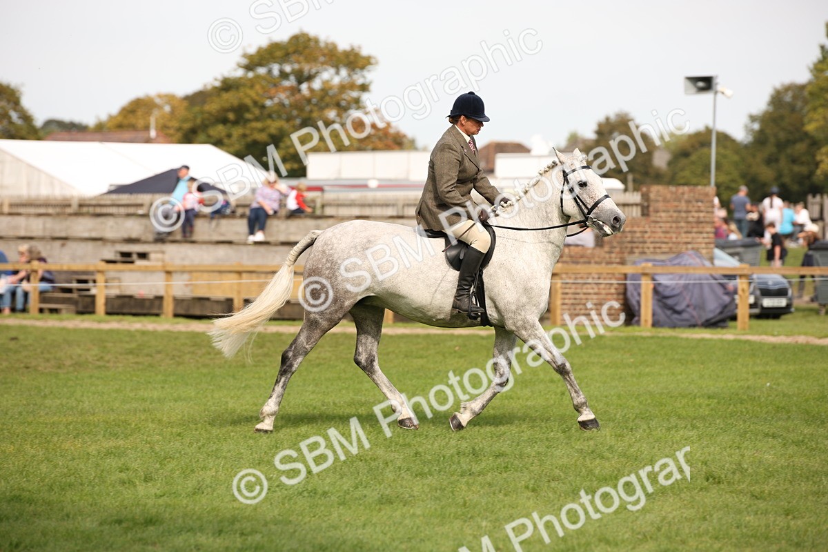 SBM_70413 - S66 - Hunter Ridden