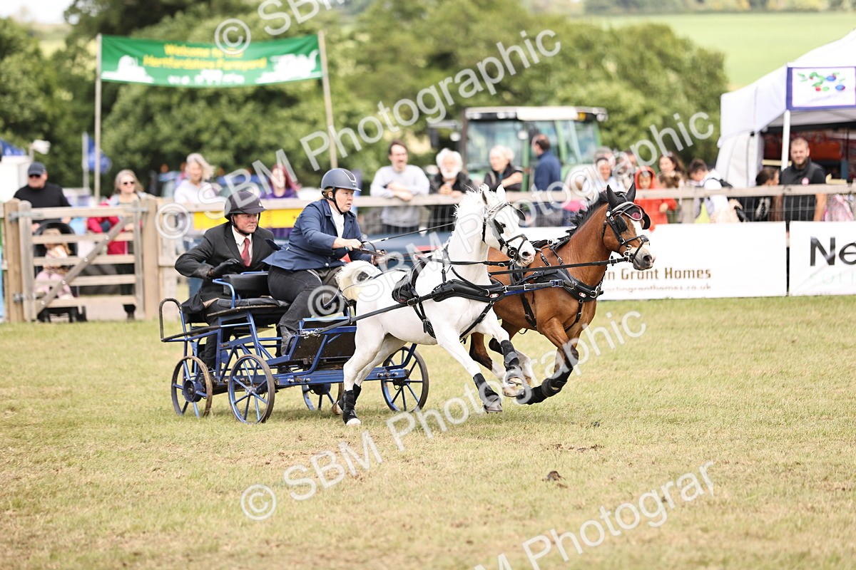 SBM_16053 - Class 91 - Scurry  exceeding 122cms