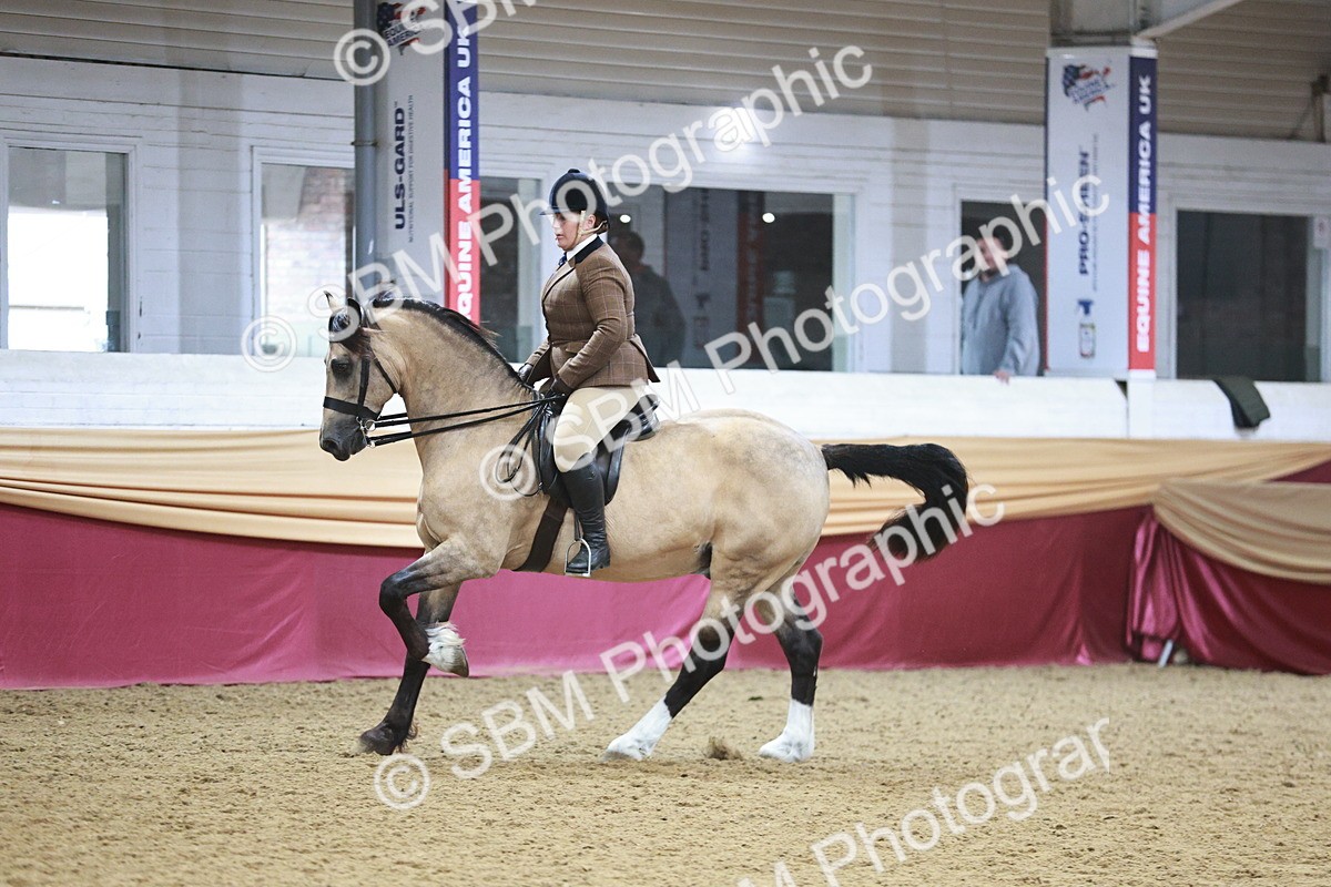 SBM_09027 - Class 12R - Regional Ridden Pre-Vet