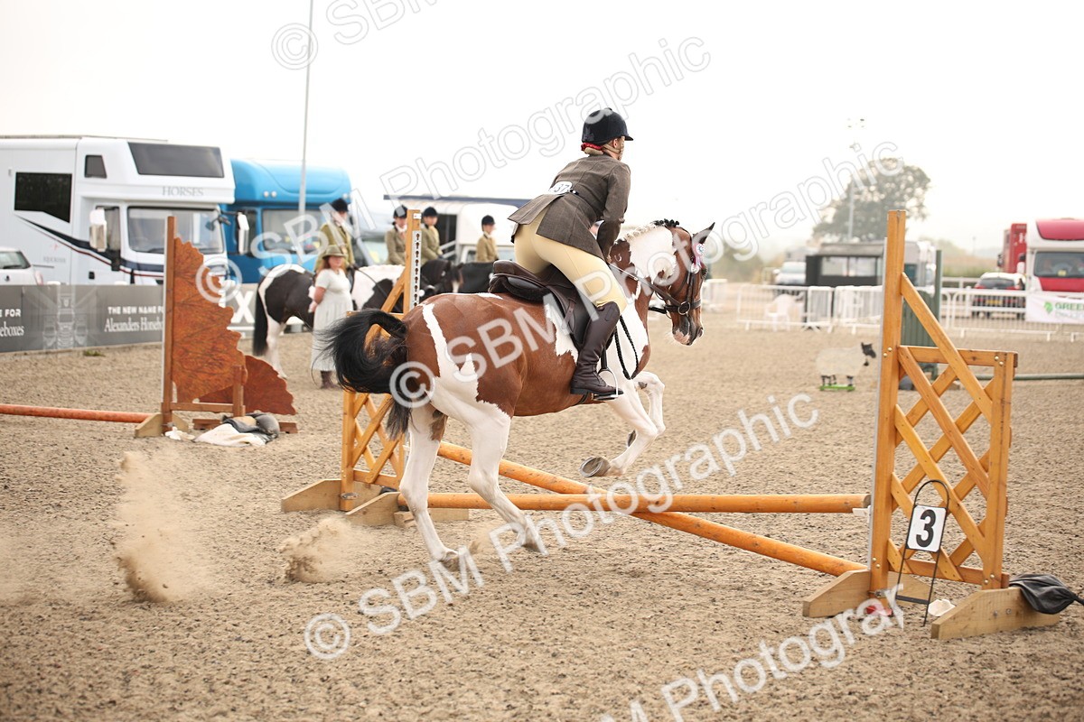 SBM_09735 - Class 401 Riding Club Pony