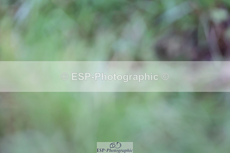 240901A-155112-10917 - 518-Sophie.Goodall-MILLFIELD.ROLY.POLY