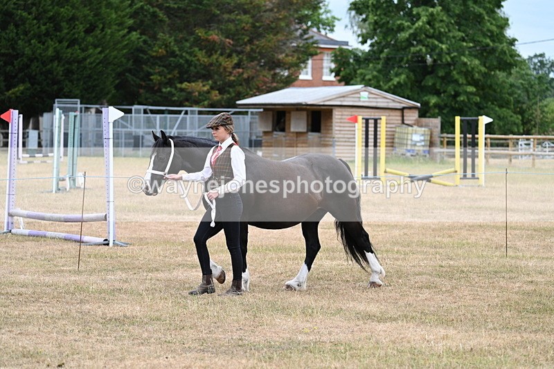 WJ7_7987 - Class 4 Prettiest Mare up to 14.2hh