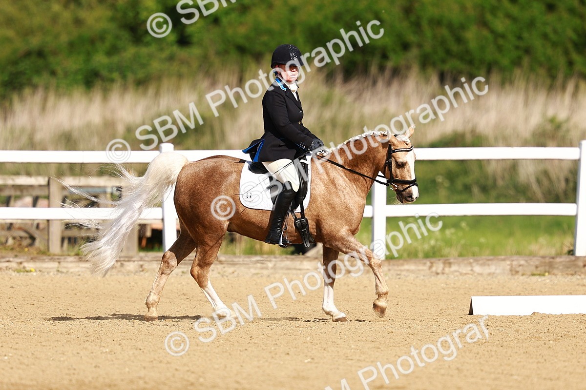 SBM_000181 - Class 7 - N4