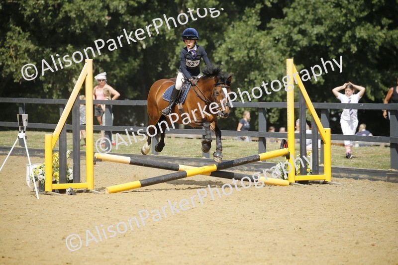 20250622-3868 - 50cm