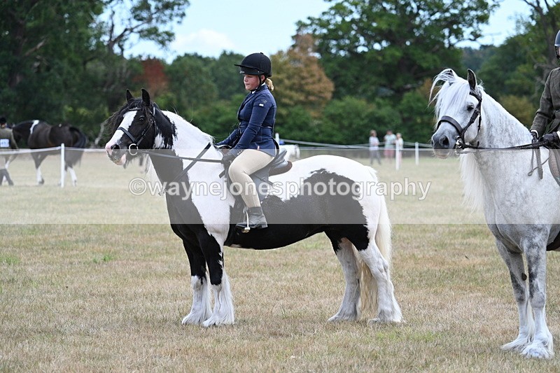 WJ7_5502 - Class 12 Ridden Cob