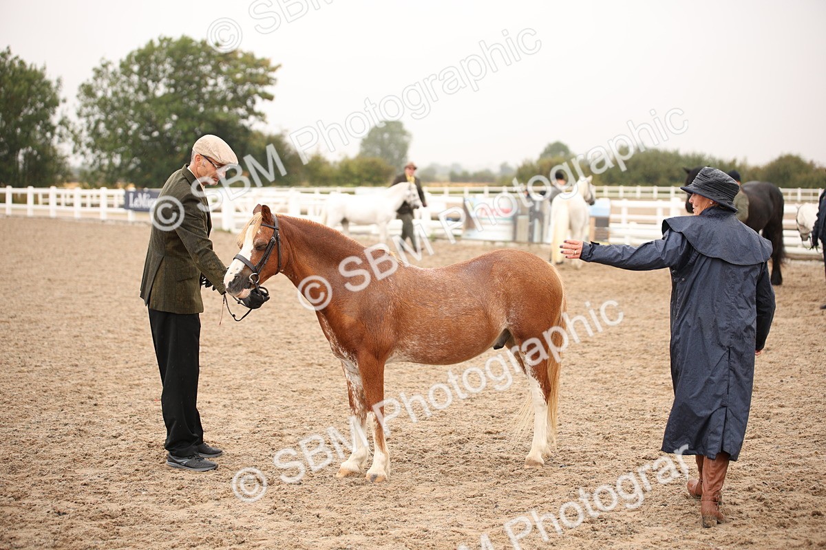 SBM_20711 - Class 705 - IH  Combination 65+