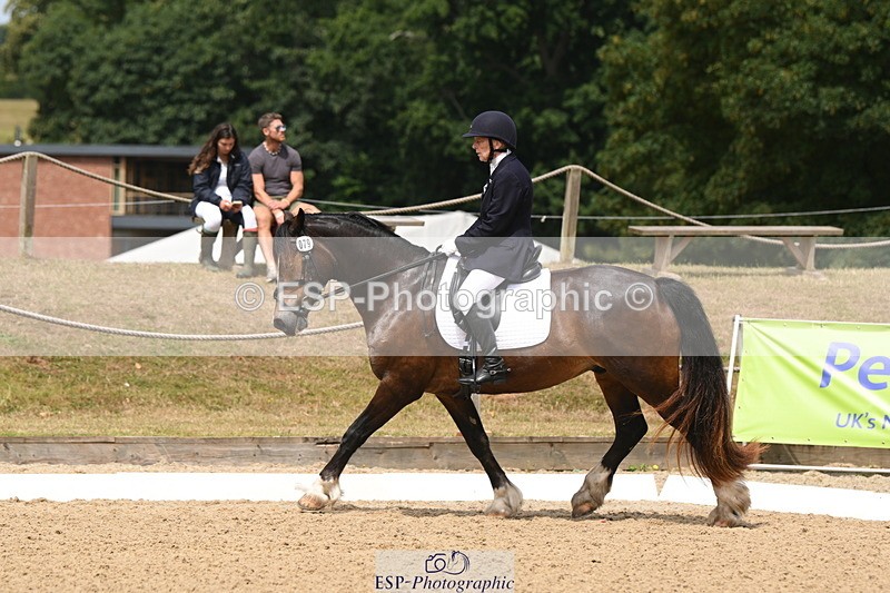 250720A-115648-10080 - 079-Amanda.Williams-Llanarth.Westminster