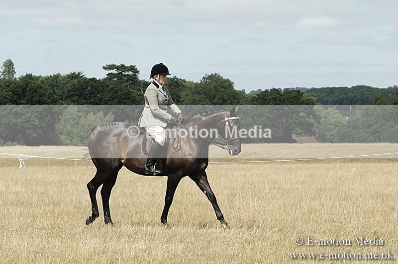 _PJP6049 - BVRC Show 2018 Ring 1