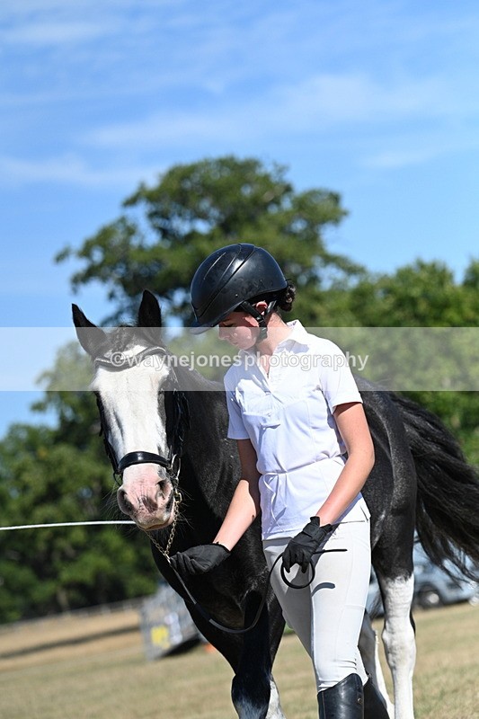 WJ7_1807 - Class 43 Best Six Legs (In hand)