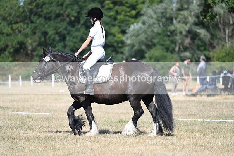 WJ7_9598 - Time 10:32 to 10:55